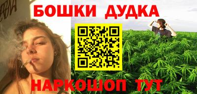 прущие грибы Лесосибирск