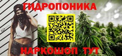прущие грибы Лесосибирск