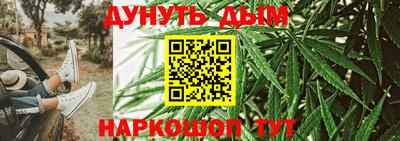 прущие грибы Лесосибирск