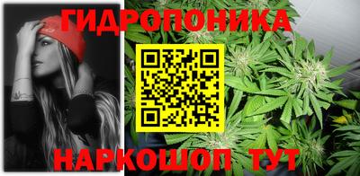 гидропоника Ликино-Дулёво
